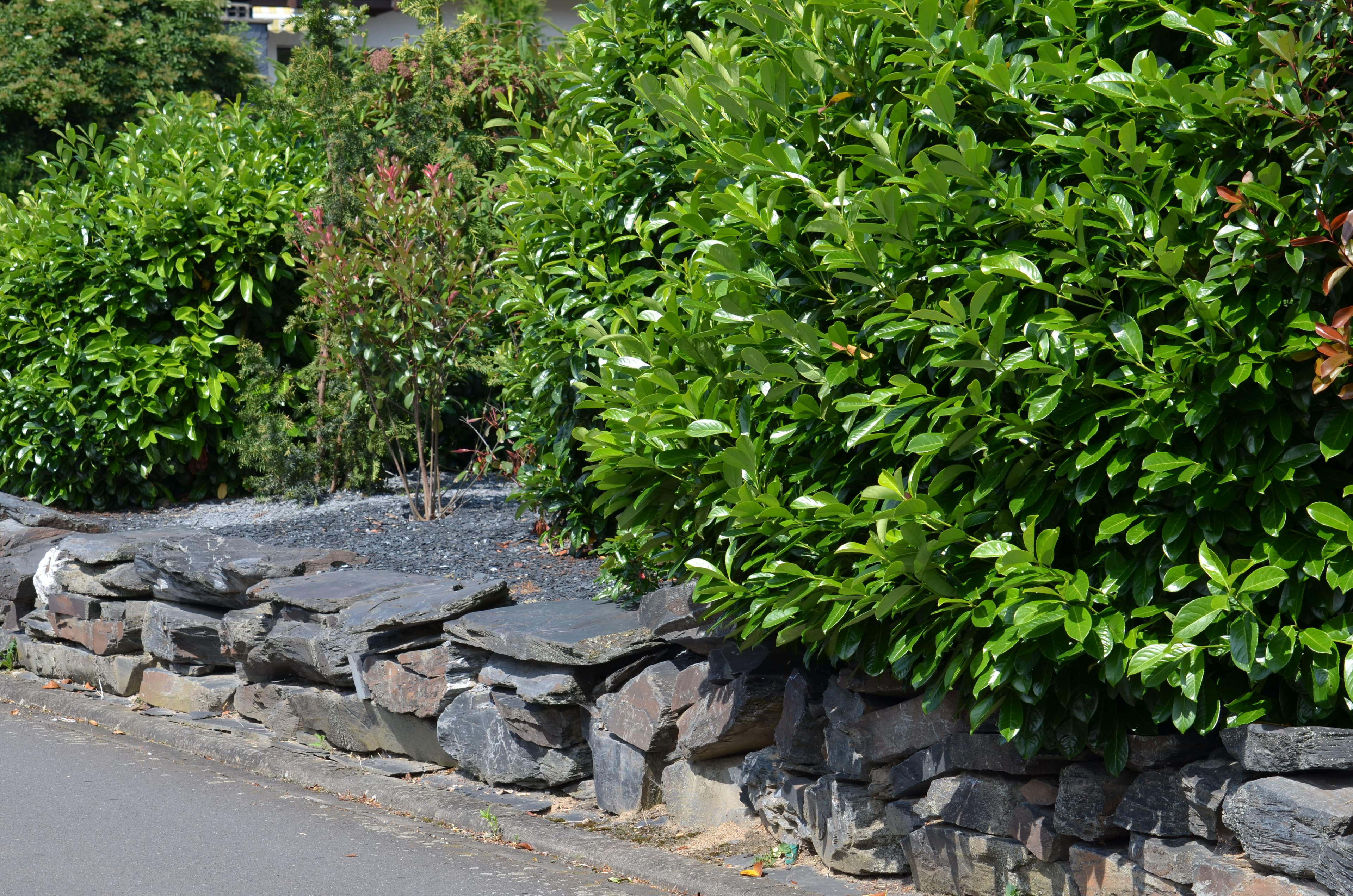 Gartenelement